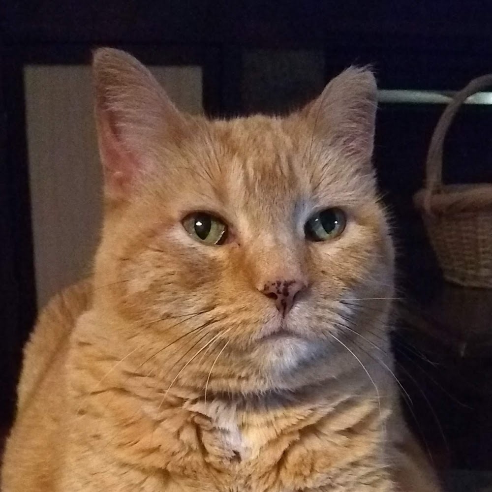 Meet your Posher, Sierra